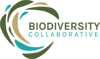 Biodiversity Collaborative